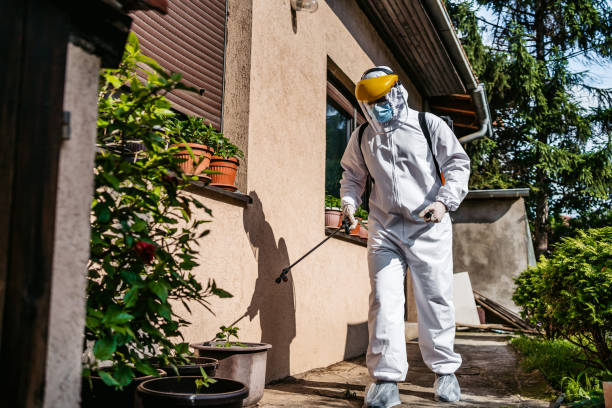 Best Pest Prevention Services  in Darby, PA