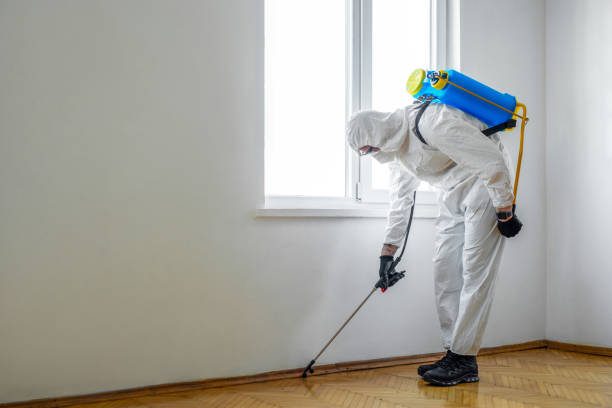 Best Termite Control Services  in Darby, PA