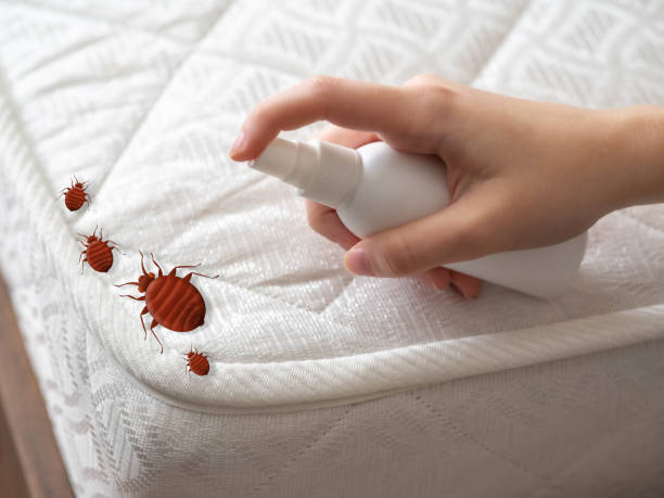 Best Pest Removal Services  in Darby, PA