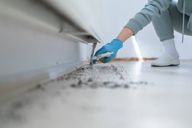 Best Affordable Pest Control Services  in Darby, PA